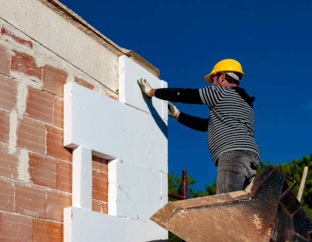 Best Commercial Insulation in Douglas, GA