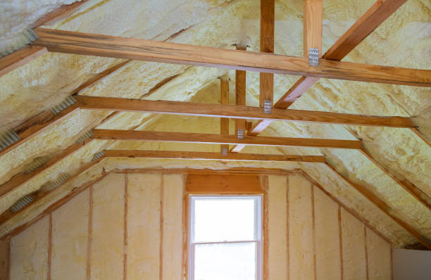 Best Cellulose Insulation in Douglas, GA