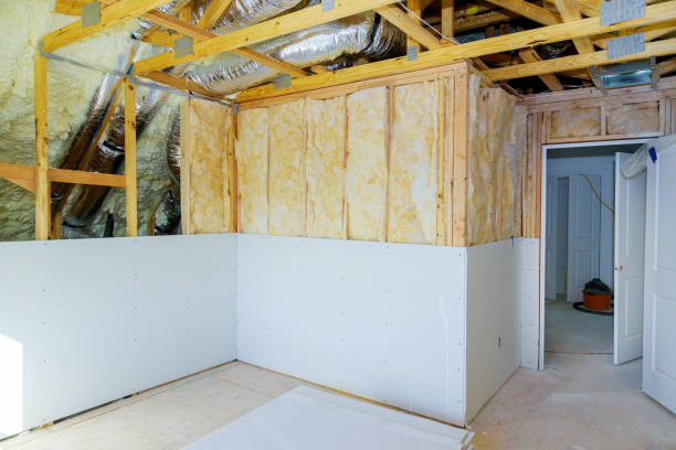 Best Blown-in Insulation in Douglas, GA