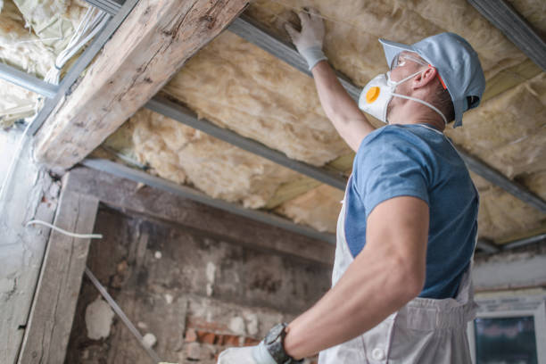 Best Eco-Friendly Insulation in Douglas, GA
