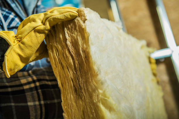 Types of Insulation We Offer in Douglas, GA