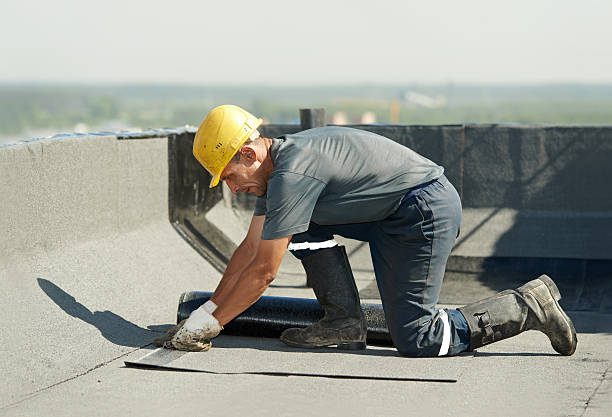 Best Geographic-Specific Insulation Services in Douglas, GA